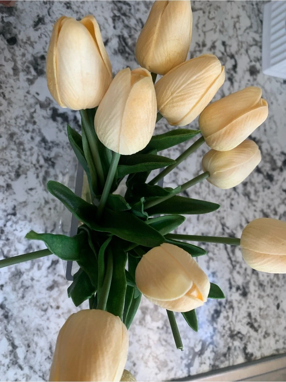 Elegant Cream Tulip Bouquet in Clear Vase - Home Accents